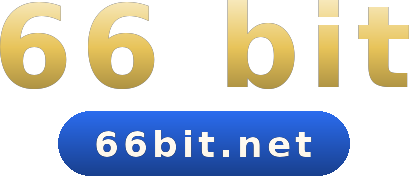 66 bit logo